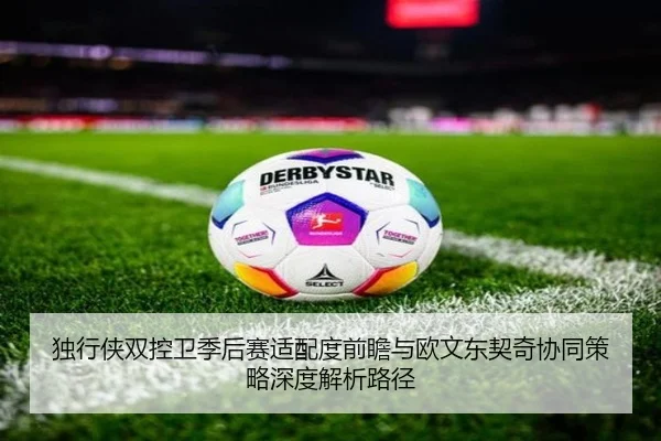 独行侠双控卫季后赛适配度前瞻与欧文东契奇协同策略深度解析路径