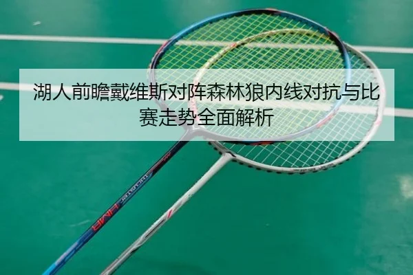 湖人前瞻戴维斯对阵森林狼内线对抗与比赛走势全面解析